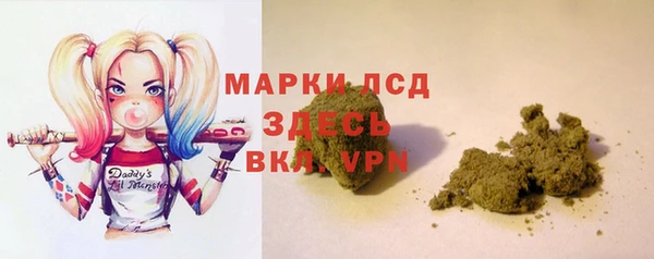 гашик Аркадак