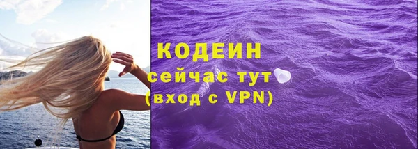 хмурый Арсеньев