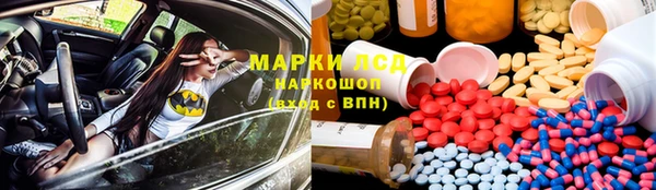 хмурый Арсеньев